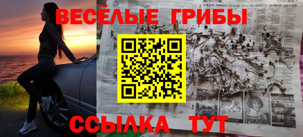 Псилоцибиновые грибы Psilocybe  Псилоцибиновые грибы прущие грибы  Вход с VPN  Альметьевск 